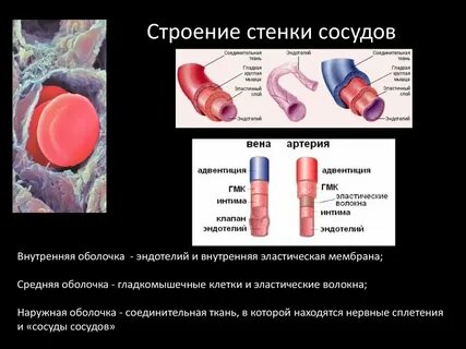 Стенки шарика более эластичные чем стенки бутылки
