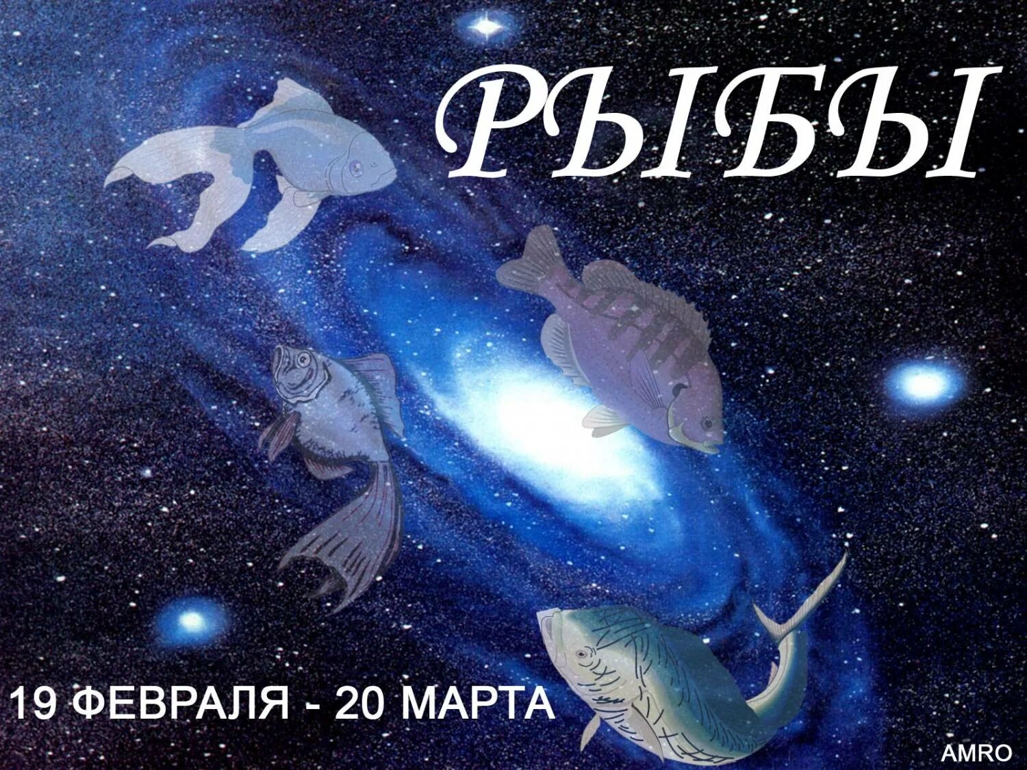 Знаки зодиака. Рыбы. Знак гороскопа рыбы. Рыбы гороскоп картинки. Рыбы март знак зодиака. Гороскоп рыбы на завтра 2024 год