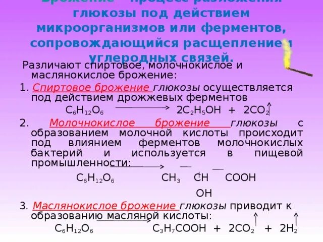 Спиртовое брожение раствора глюкозы. Брожение Глюкозы молочнокислое маслянокислое спиртовое. Спиртовое брожение Глюкозы катализатор. Спиртовое брожение Глюкозы реакция. Маслянокислое брожение ферменты.