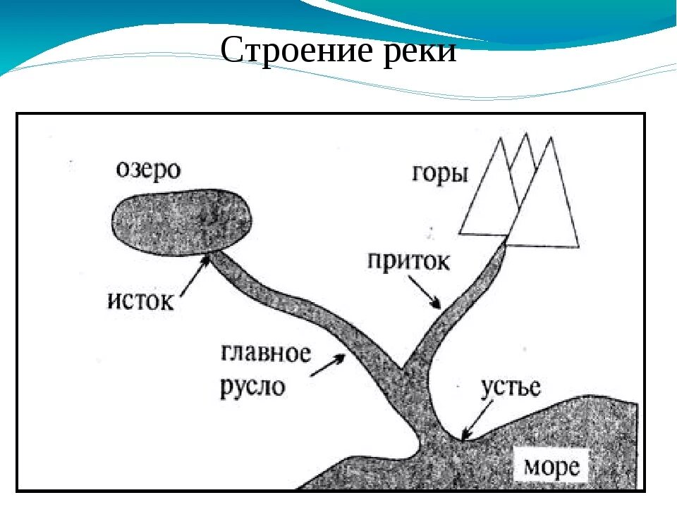 Река Исток русло схема. Части реки схема. Строение части реки. Строение реки схема.