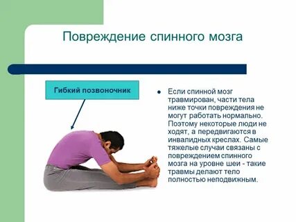 Травмы спинного мозга