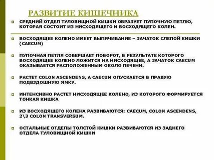 Источниками кишечных