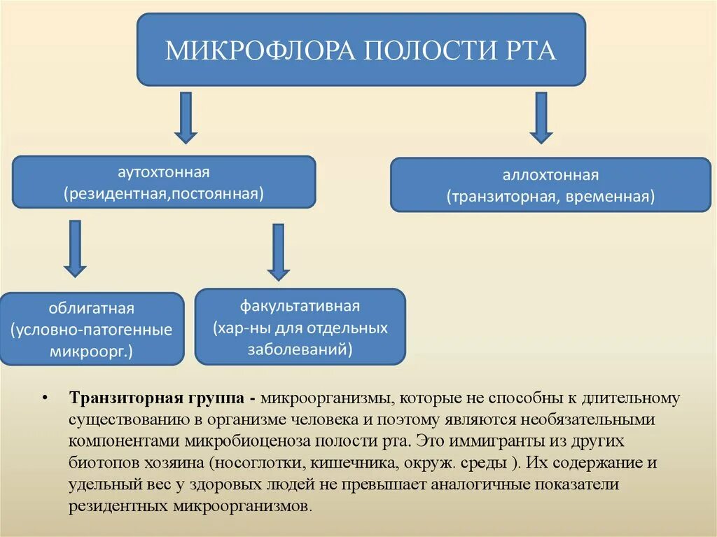 Рот имеет значение. Облигатная микробиота ротовой полости. Классификация микроорганизмов полости рта. Транзиторная микробиота ротовой полости. Представители нормальной микрофлоры полости рта.