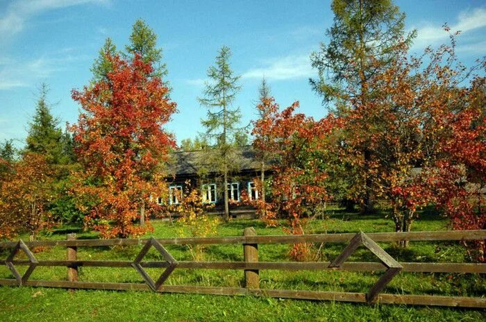 Центр защиты леса архангельск. Фбу «российский центр защиты леса». Центр защиты леса ульяновск фото. Центр защиты леса пушкино. Центральный лесной заповедник нелидово.