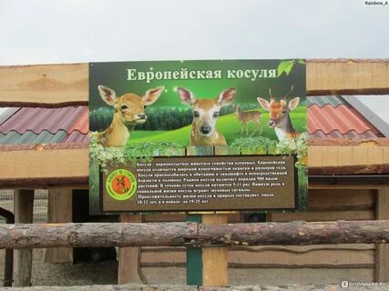 Машкино подворье