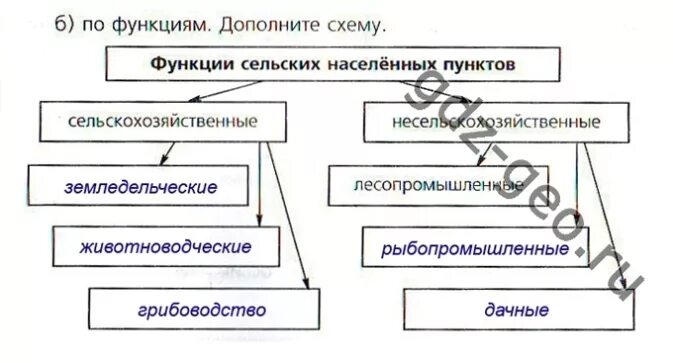 Схема типы населенных пунктов. Функции сельских населенных пунктов схема. Функции сельских поселений. Поселение и их функции. Функции городов география