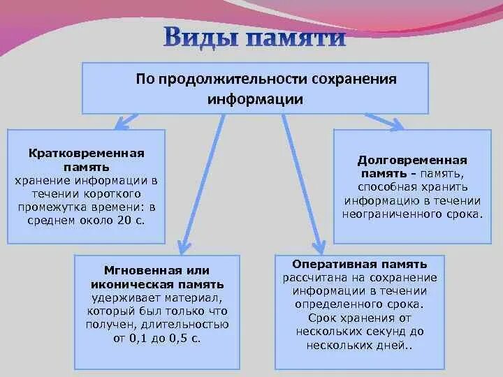 Виды памяти. Виды памяти по длительности хранения информации. Перечислите виды памяти. Виды памяти у человека. Время сохранять 7