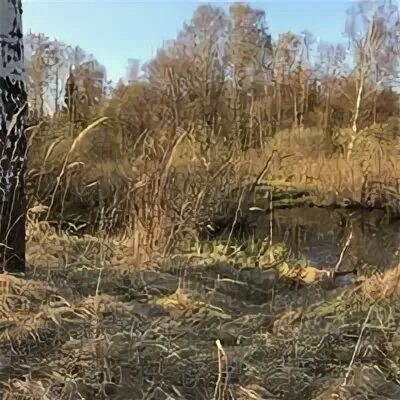 Мой гектар сайт. Княжьи горы шаховская. Княжьи горы московская область. Жд станция княжьи горы. Тушино княжьи горы.