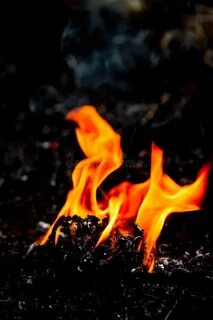 Движение fire