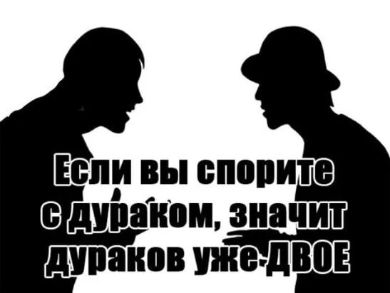 Спорить цитаты. Спорить с дураком. Спор с дураком. Никогда не спорь с дураком. Беречь спорить