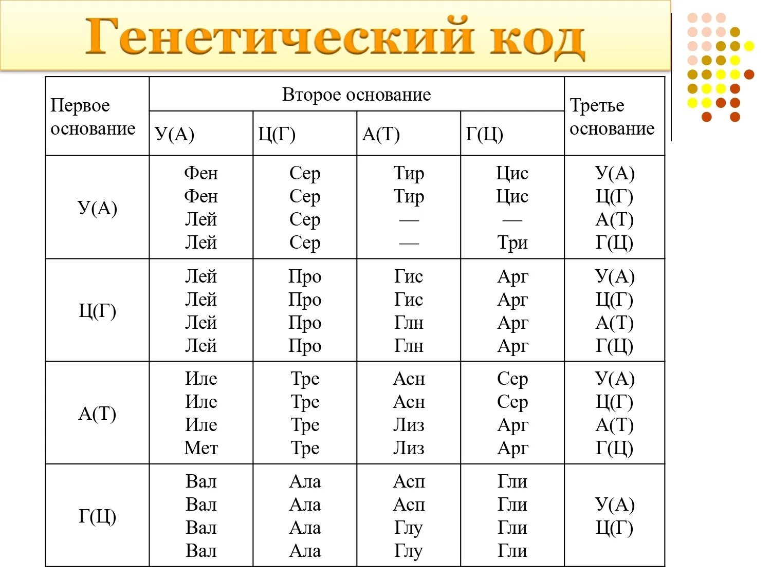 Длина генетического кода. Первое основание второе основание третье основание генетический код. Генетический код. Енетичеси од. Генетический код таблица.