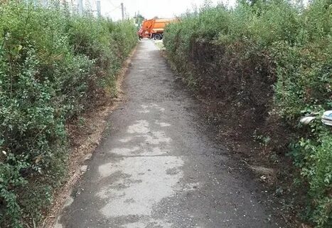 Мне попалась какая то заросшая дорожка