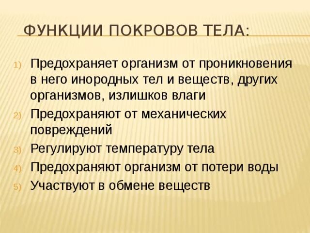 Какую функцию выполняет покров. Какую функцию выполняет покров