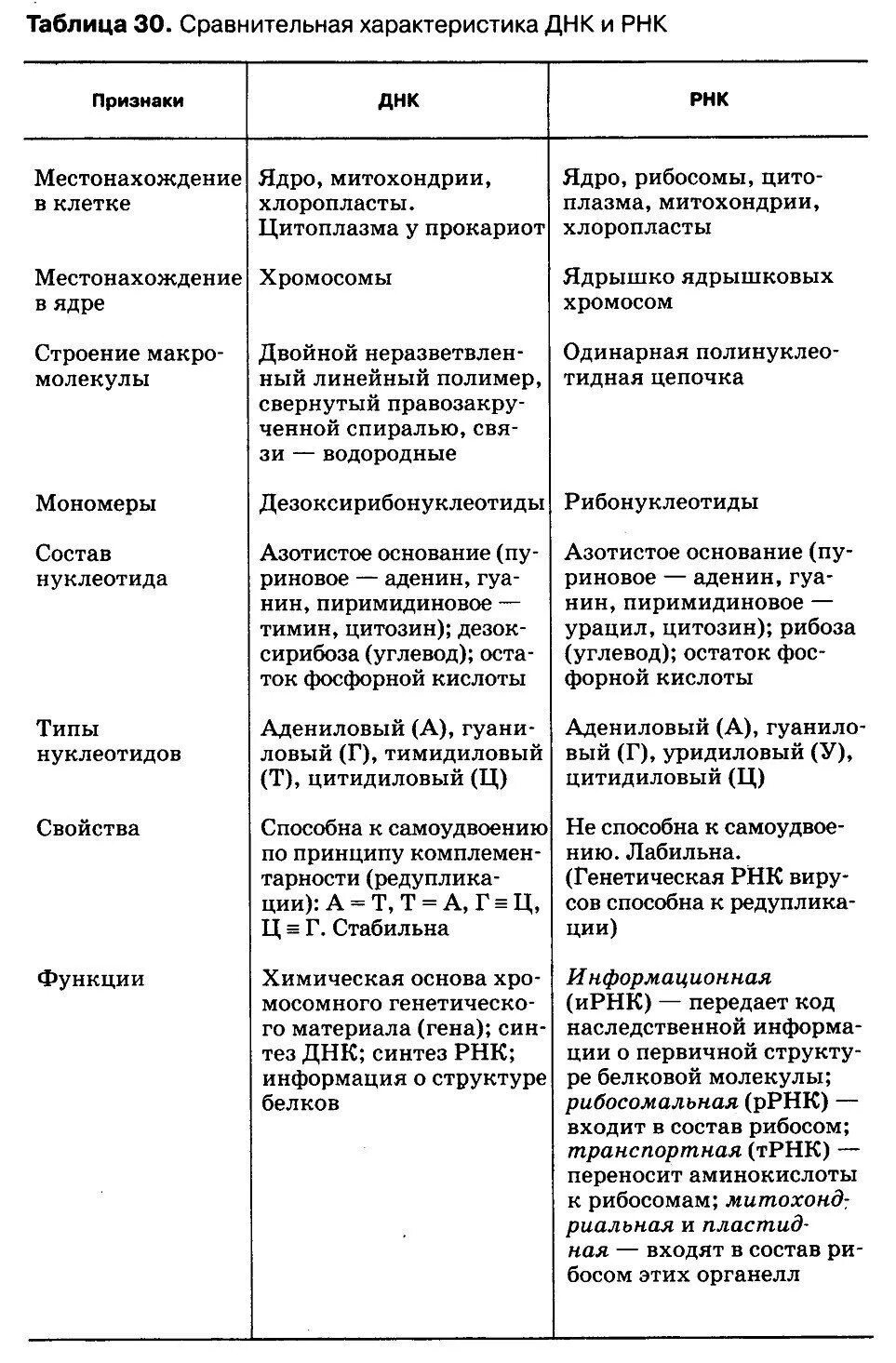 Сравнение ДНК И РНК таблица. Сравнительная характеристика нуклеиновых кислот ДНК И РНК. Строение ДНК И РНК таблица. Признаки сравнения ДНК И РНК таблица. Сравнить днк и рнк