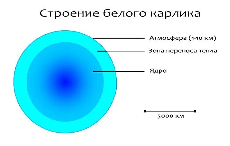 Что не входит в состав белого карлика. Строение звезд белых карликов. Модель белого карлика строение. Внутреннее строение белых карликов. Схема строения белого карлика.