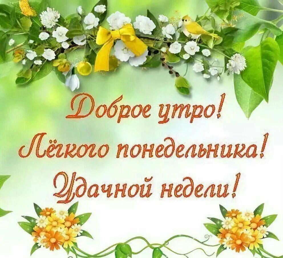 Доброе утро хорошего дня недели. С добрым утром понедельника. открытки с добрым утром понедельника. добро утро понедельника. с доьрым утро понидельника.