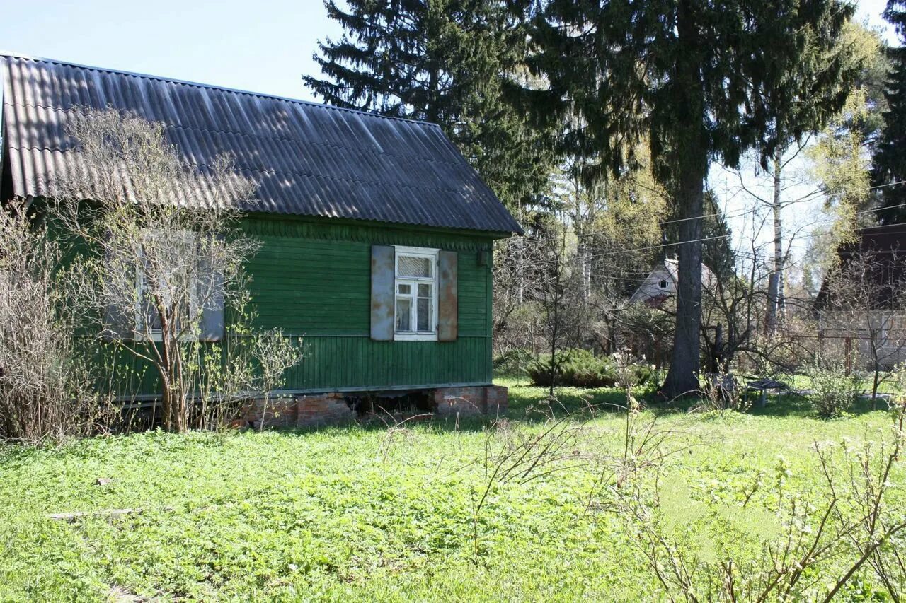 Купить дом снт березка. СНТ Березки 3 Солнечногорский район. Берёзки дачные Солнечногорский район. Поселок Березки дачные Солнечногорский район. СНТ Тимирязевец Московская область.