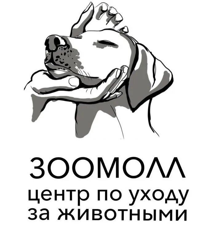 Груминг архангельск. Готовые проекты зоо центров. Картинка менеджер зоо. 29зоо Архангельск.