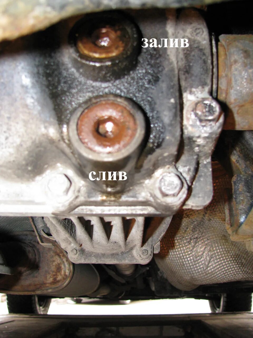 Кашкай масло редуктор. Сливная пробка раздатки Ниссан х-Трейл т31. Сливная пробка раздаточного редуктора Вольво хс90. Сливная пробка заднего моста x Trail 2005. Nissan Pathfinder раздатка сливной болт.