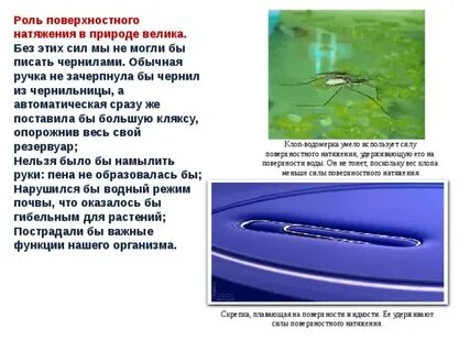 Поверхностное описание