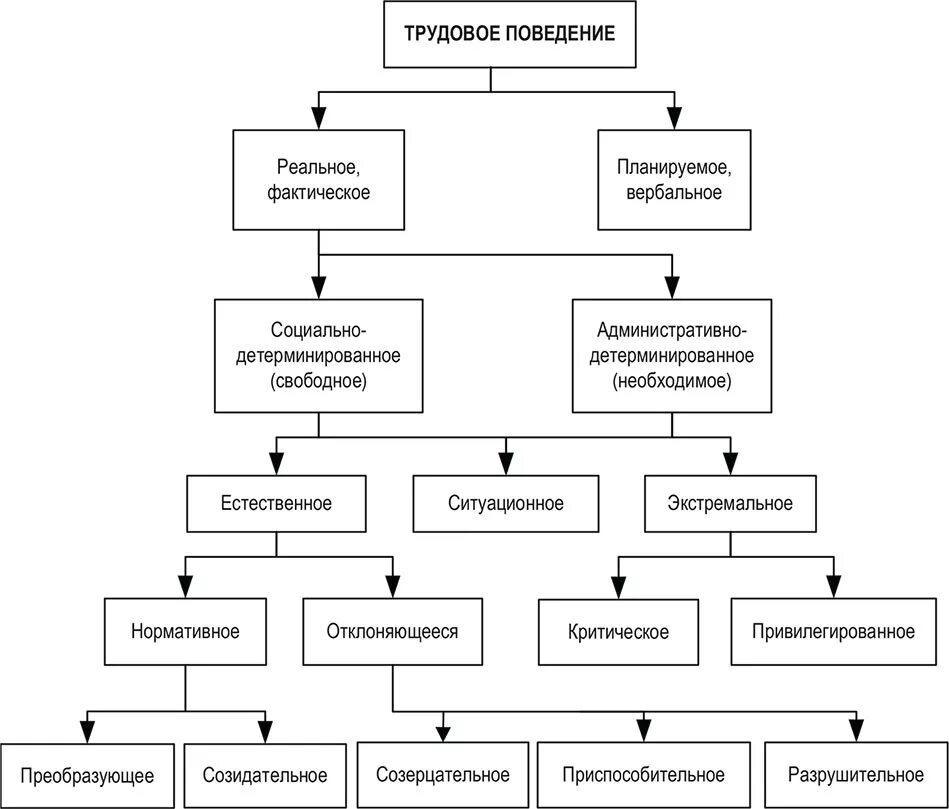 Функция организации поведения. Классификация типов трудового поведения. Структура трудового поведения. Трудовое поведение. Формирование трудового поведения схема.