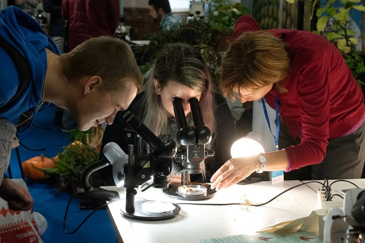 Биологический Факультет МГУ. Биолог МГУ. МГУ Факультет биологии. Biology universities