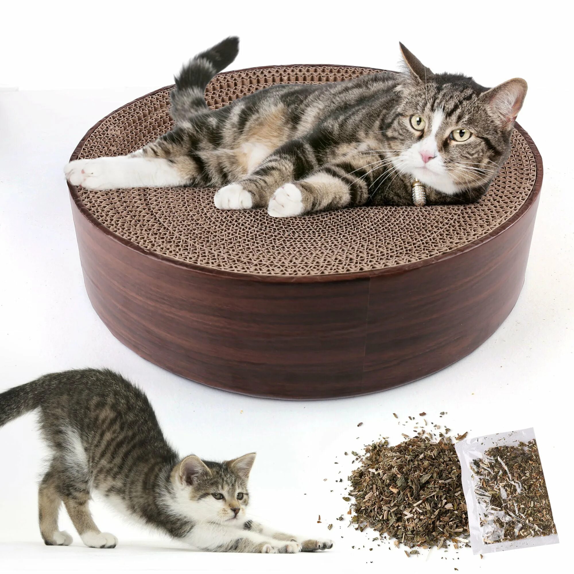Round cat. Кошачья Царапка картон. Cat Scratcher. Cat Sofa коробка.