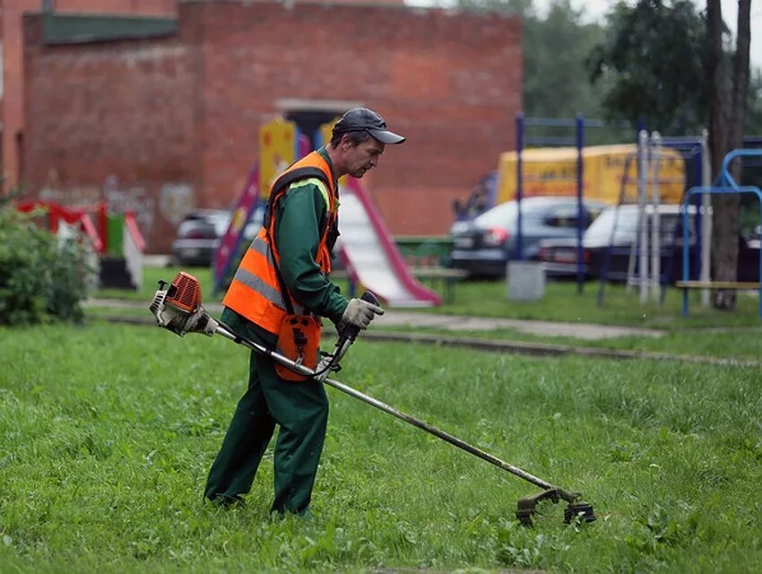 Щетка 5320-5205900 стеклоочистителя. Рабочие на покос травы. Дворники газон. Щетка стеклоочистителя газель некст 600 мм. Щетка стеклоочистителя газон некст.