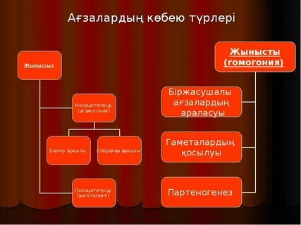 Транние спермы өз аузына порно смотреть