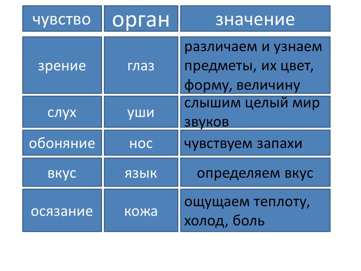 Какое значение для человека имеют ощущения. Органы чувств таблица. Строение органов чувств таблица. Значение органов чувств. Значение органов чувчт.