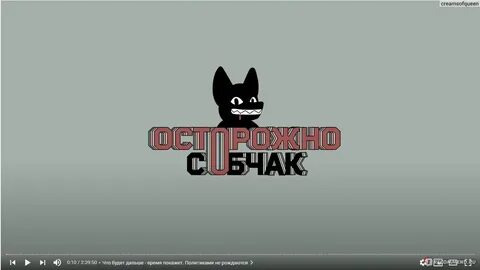 Осторожно собчак ютуб последний 2024