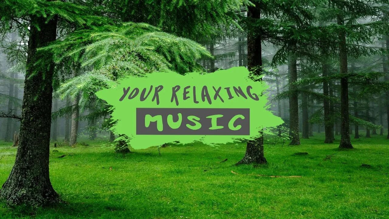 Релакс музыка спокойная бесплатная. Звуки природы йога. Природа релакс для сна. Релакс звуки природы для сна. Лес для медитации лечебные звуки природы.