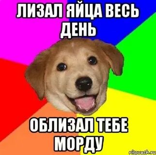 Сначала отлижи