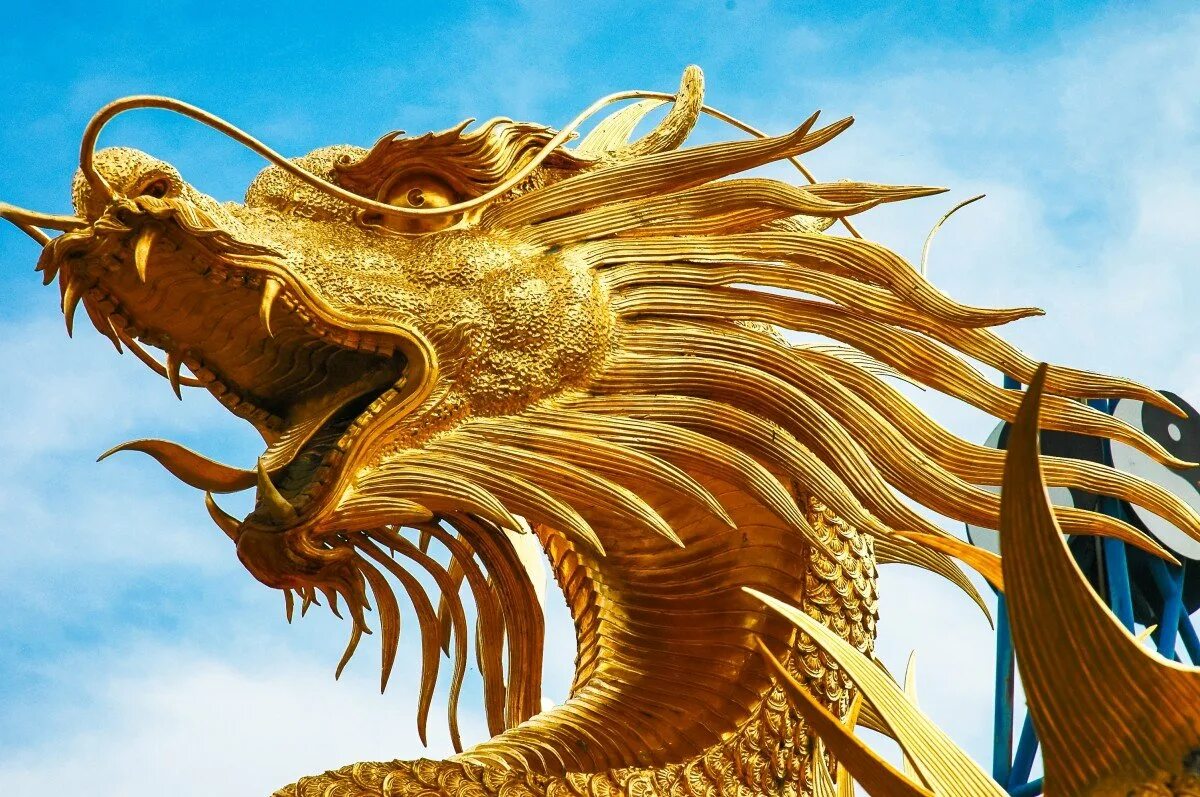 Сайт золотого дракона. Китайский золотой дракон 3d. Золотой дракон. Сайт золотого дракона. Золотой дракон великий орлангур.