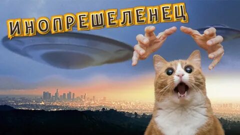 Летающая и веселая