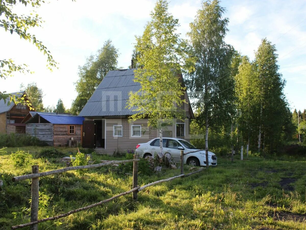 магазин лес и дом в архангельске. архангельский лес баня. карпогоры пинежский район. архангельский лес срубы пенза. лес и дом архангельск адреса.