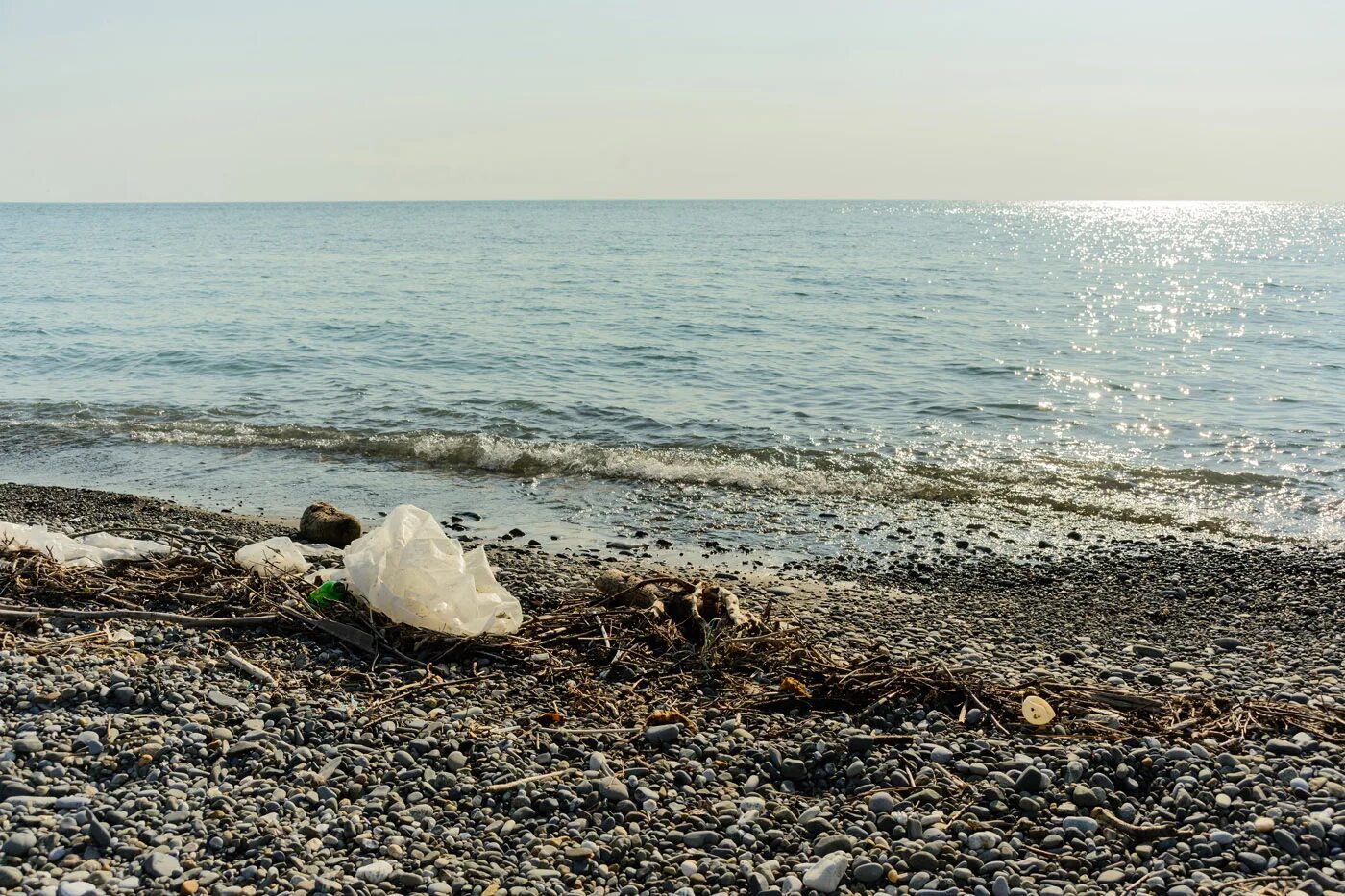 Грязное море. Черное море самое грязное. Экология балтийского моря. Черное море самое грязное. Одесса грязное море.