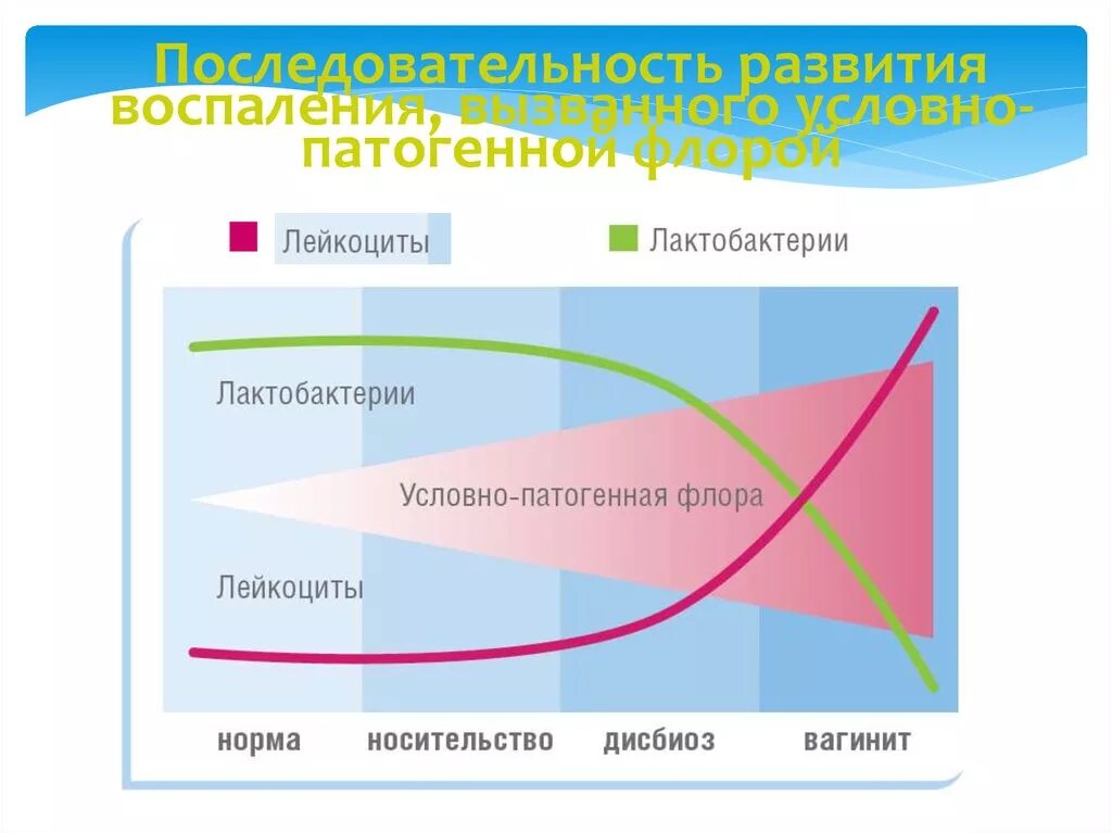 Условно патогенная микрофлора это. Природный резервуар условно патогенной Флоры. Воспалительные заболевания репродуктивной системы женщины.