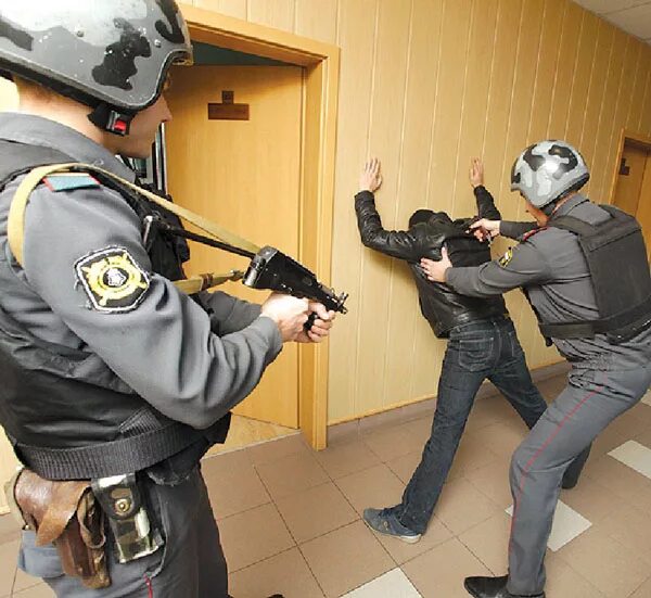 Полиция быстрого реагирования. Полиция быстрого реагирования