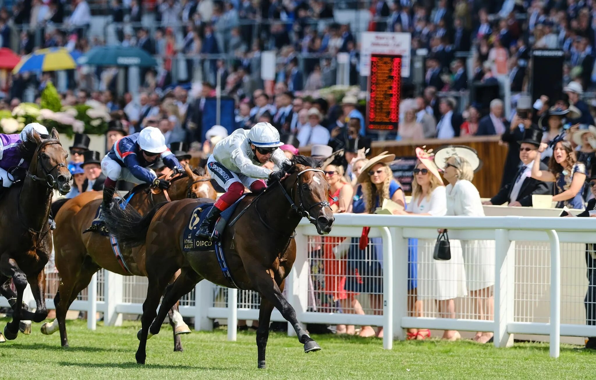 Блэк кэвиар лошадь. Royal ascot наездники. Роял аскот скачки. Ascot racecourse великобритания. Ипподром аскот великобритания.