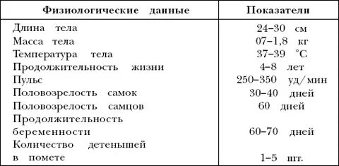 Температура тела хомяка