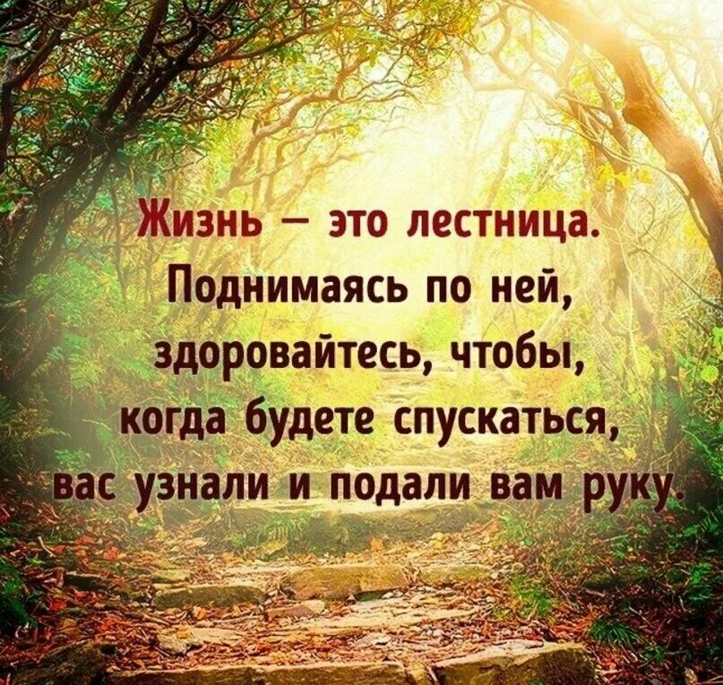 Красивые цитаты. Мудрые изречения. Умные фразы. Умные высказывания.