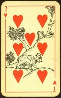 Card 7
