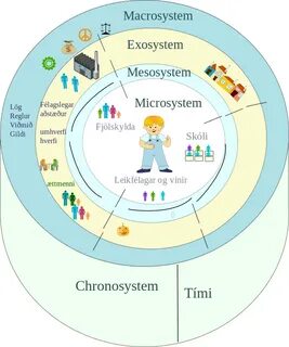 Экологическая система бронфенбреннера