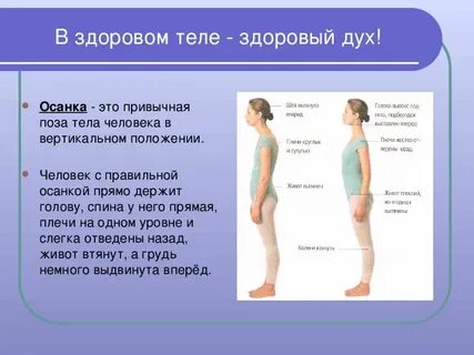 Здоровая осанка