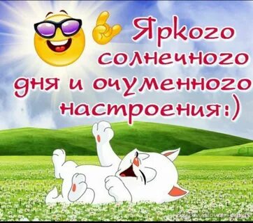 Картинки Доброго и удачного дня любимый (2025): нашлось 21 картинок