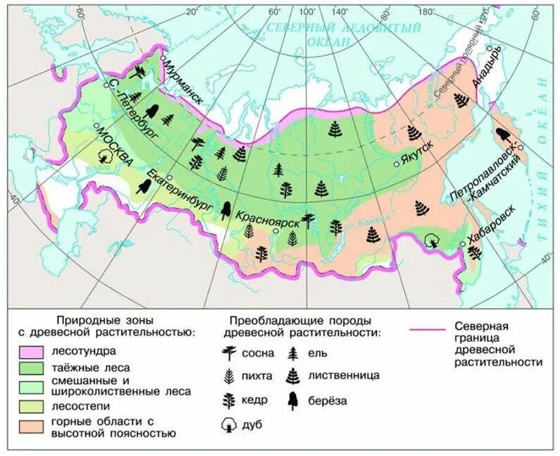 Нанесите на контурную карту лесостепную степную зону. Нанесите на контурную карту лесостепную степную зону
