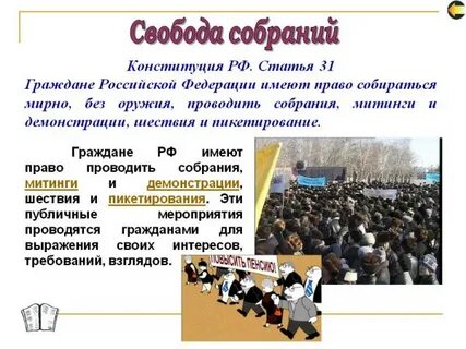 Право на мирные собрания и манифестации