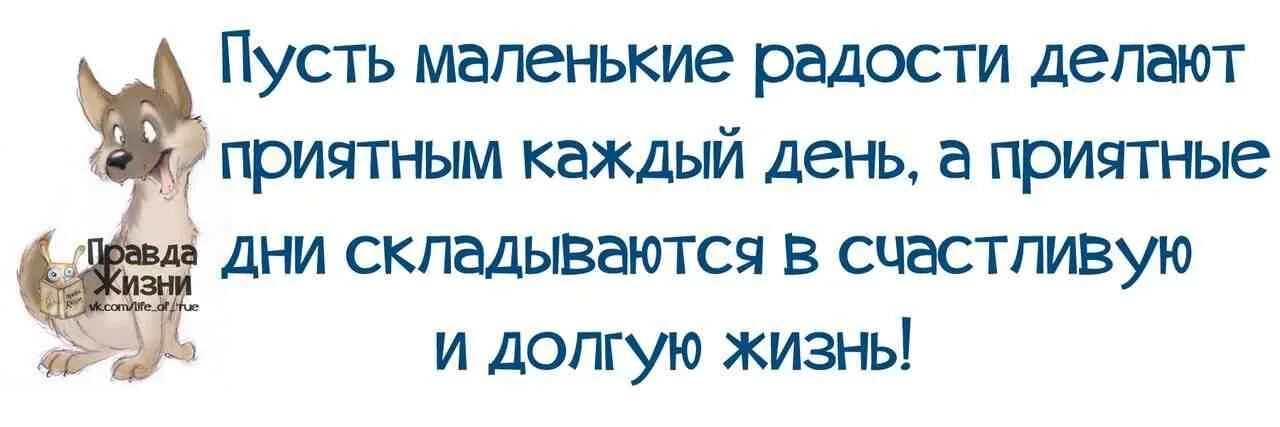 Правды жизни на дне. С днем рождения правда жизни. Прикольные фразы на день рождения. Правда жизни цитаты. Смешные фразы на день рождения.