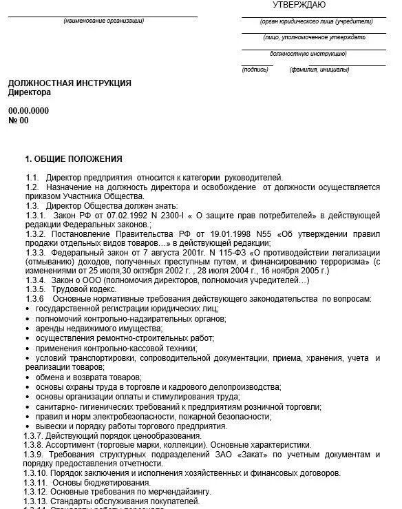 Должностная инструкция работников предприятия образец. Должностные обязанности пример. Должностные обязанности зам директора супермаркетов. Должностная инструкция по должности пример.